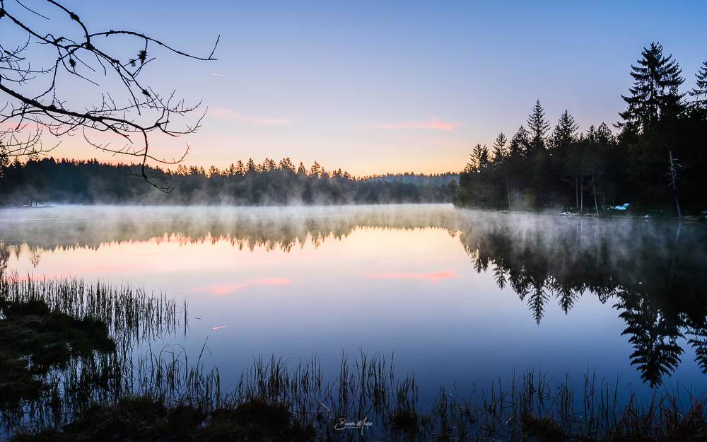 Misty morning at the lake