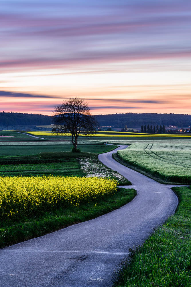 Evening colors