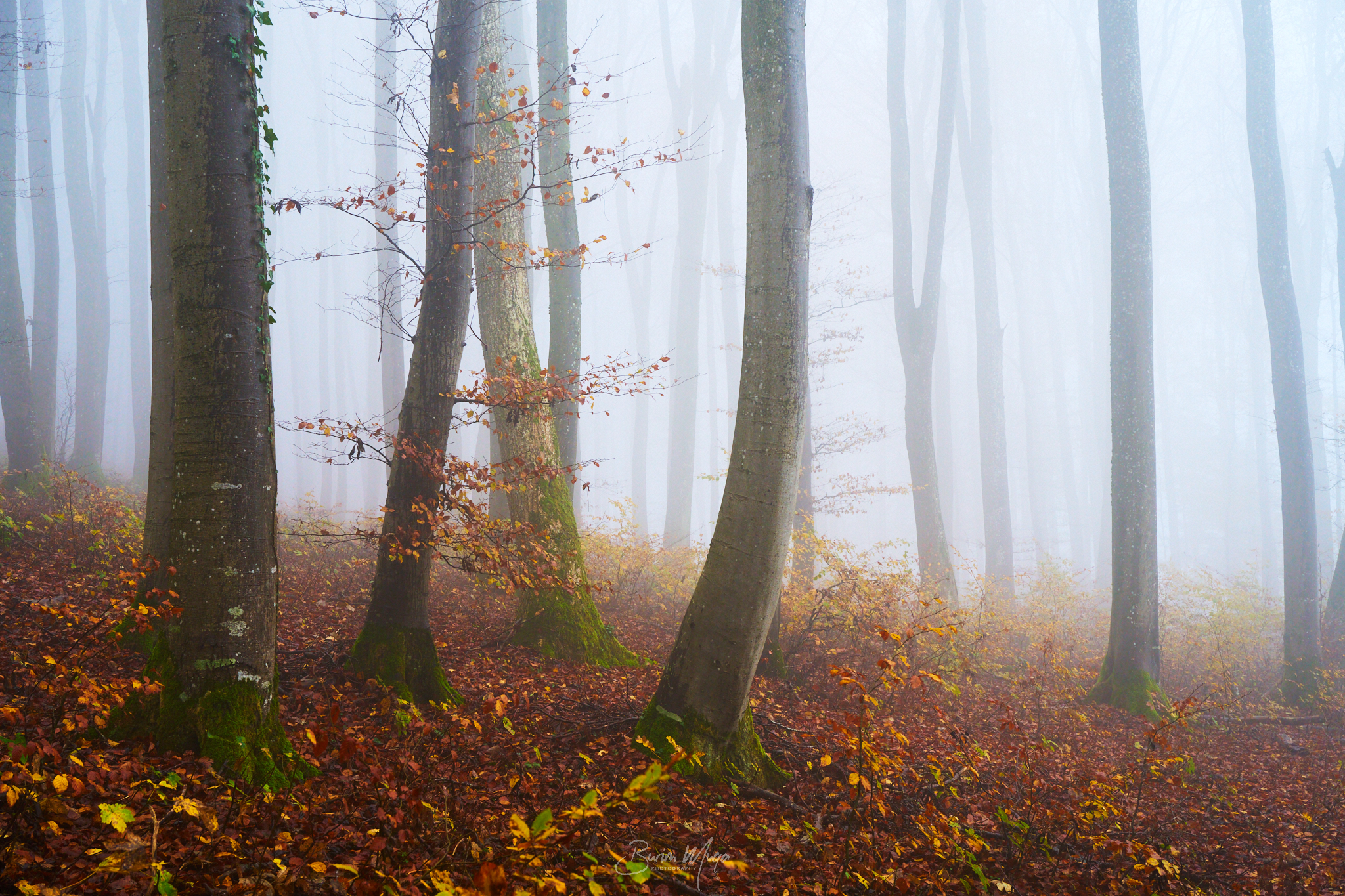 Colorful morning