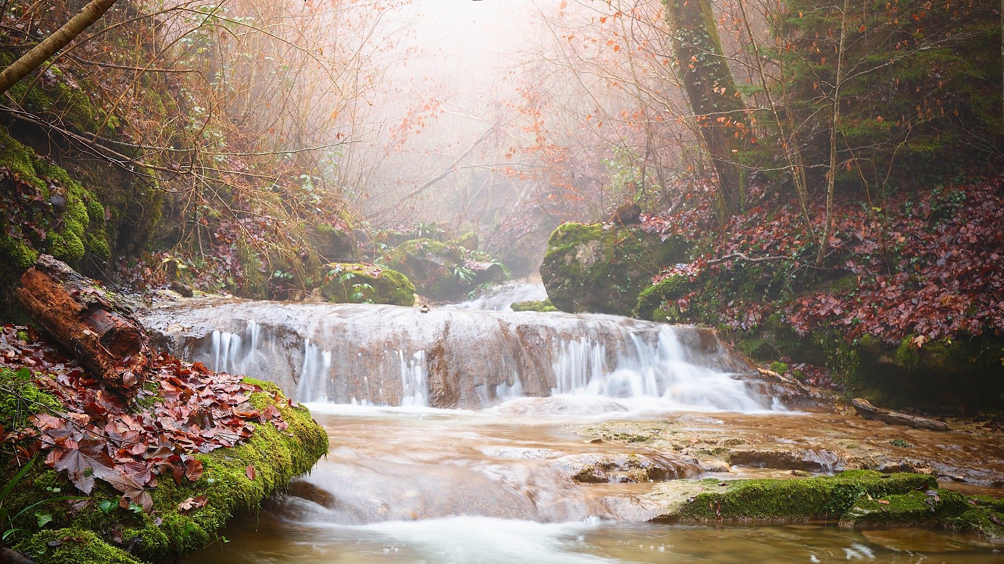 Misty mornging at the river
